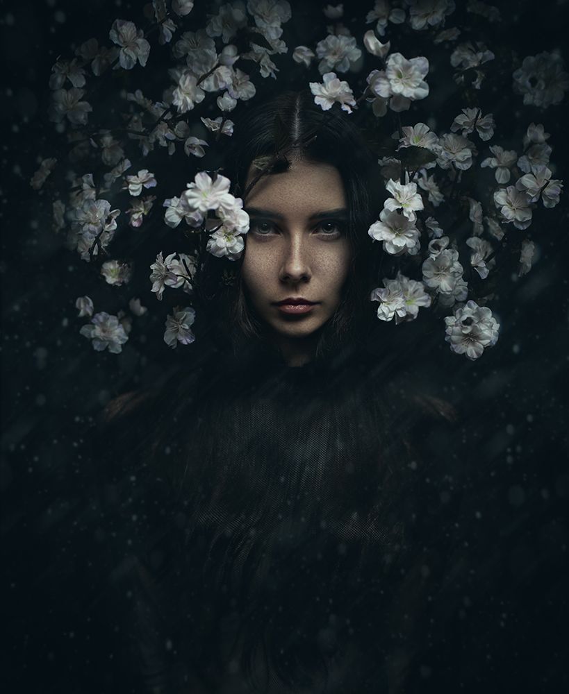 *** art print by Yuri Shevchenko for $57.95 CAD