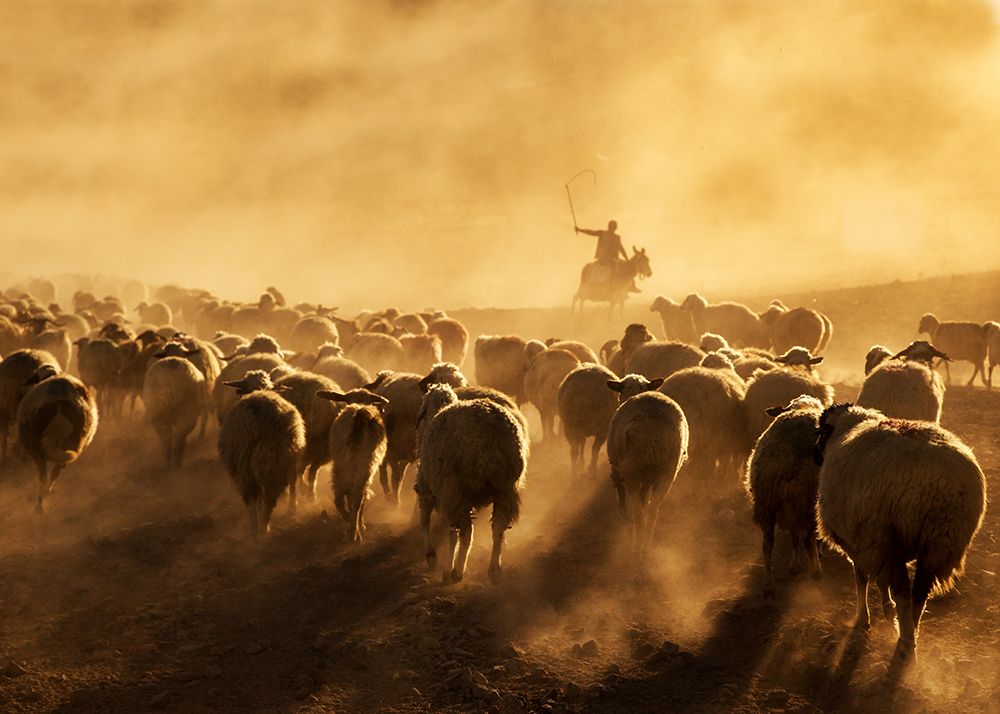 Light Power art print by Feyzullah Tunc for $57.95 CAD