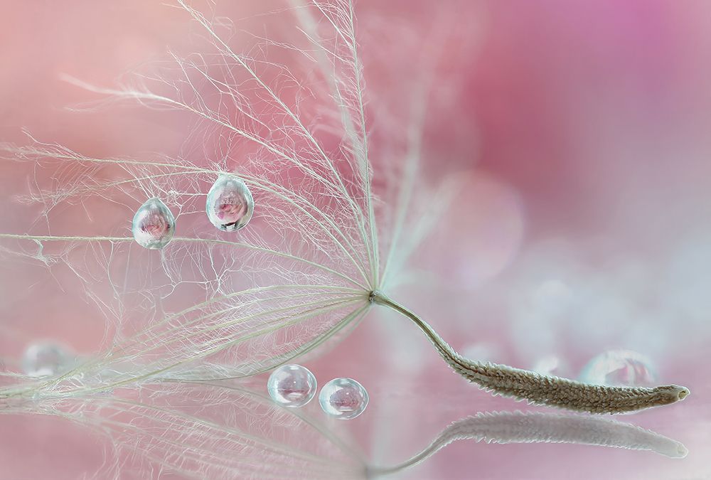 Two Of Us art print by Rina Barbieri for $57.95 CAD