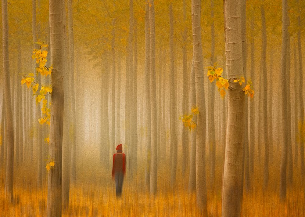 Lost in Autumn art print by Lydia Jacobs for $57.95 CAD