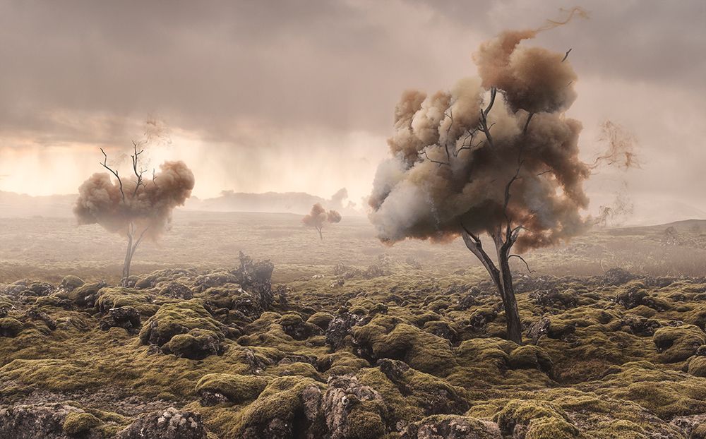 Desolation art print by Matthias Bergolth for $57.95 CAD