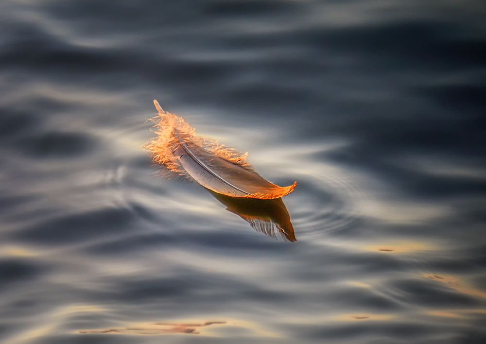 Floating art print by Larry Deng for $57.95 CAD