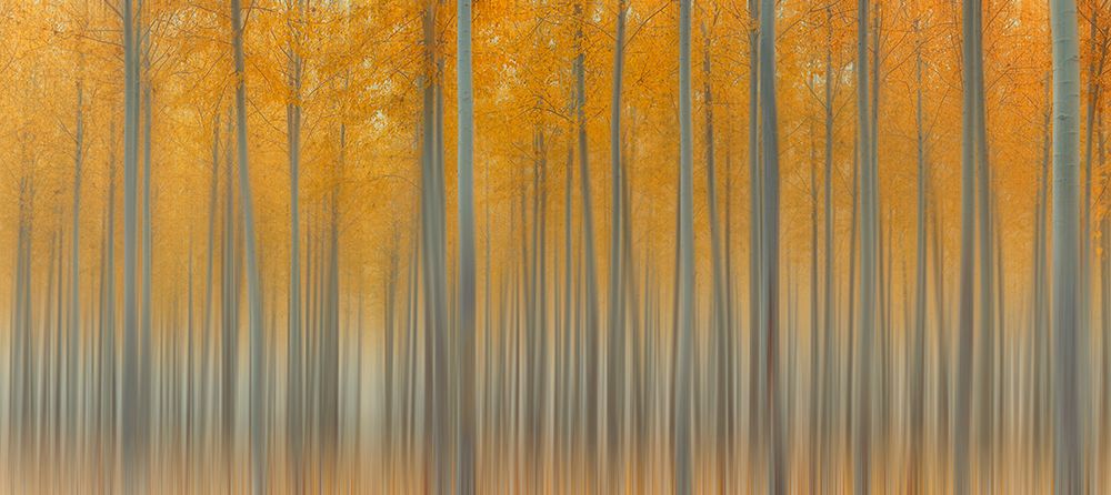 Autumn Delight art print by Lydia Jacobs for $57.95 CAD