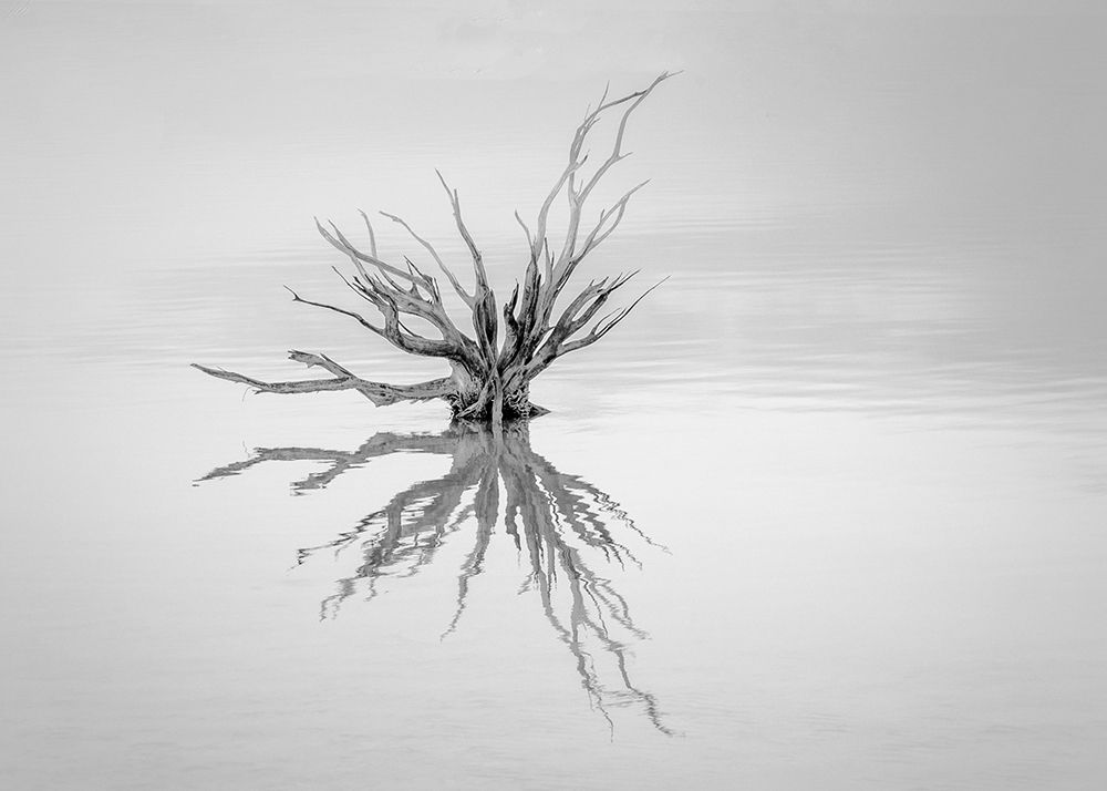 Reaching Out art print by Susan Moss for $57.95 CAD