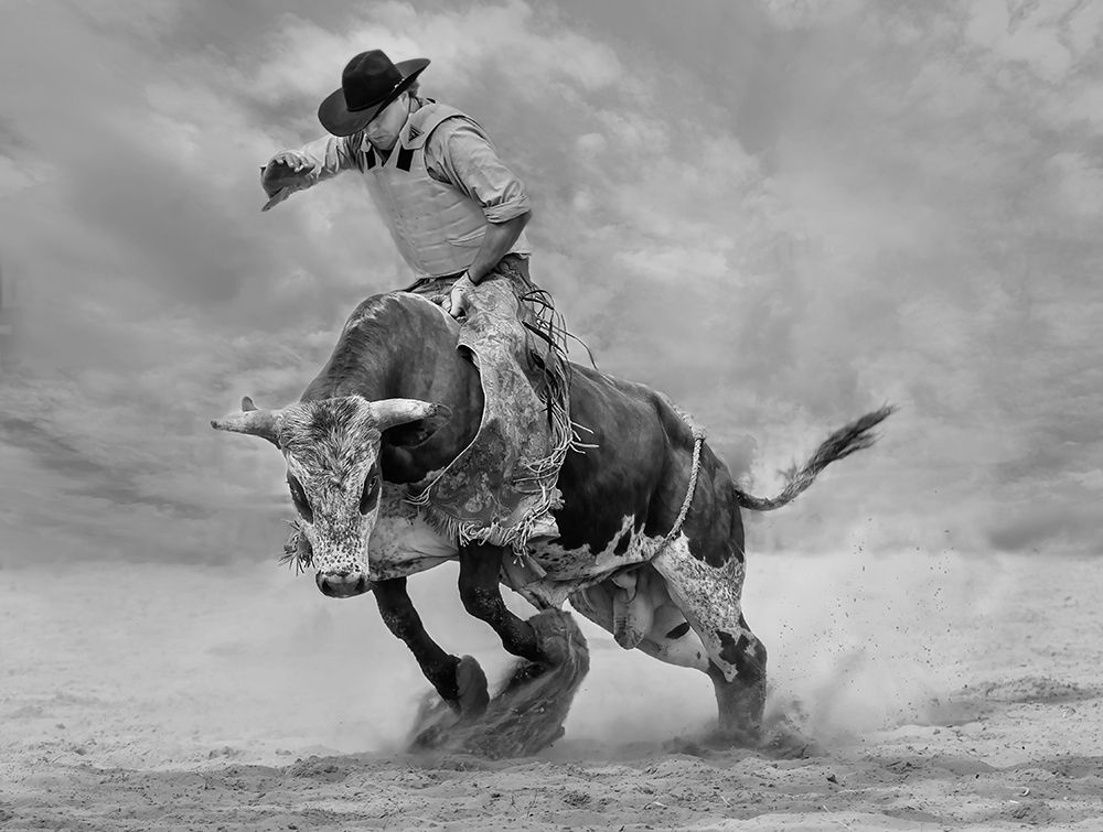 Ram Rodeo art print by Yun Wang for $57.95 CAD