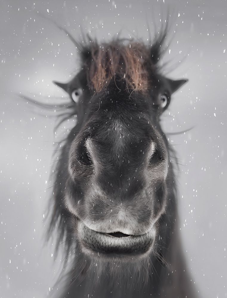 Hey art print by Larry Deng for $57.95 CAD