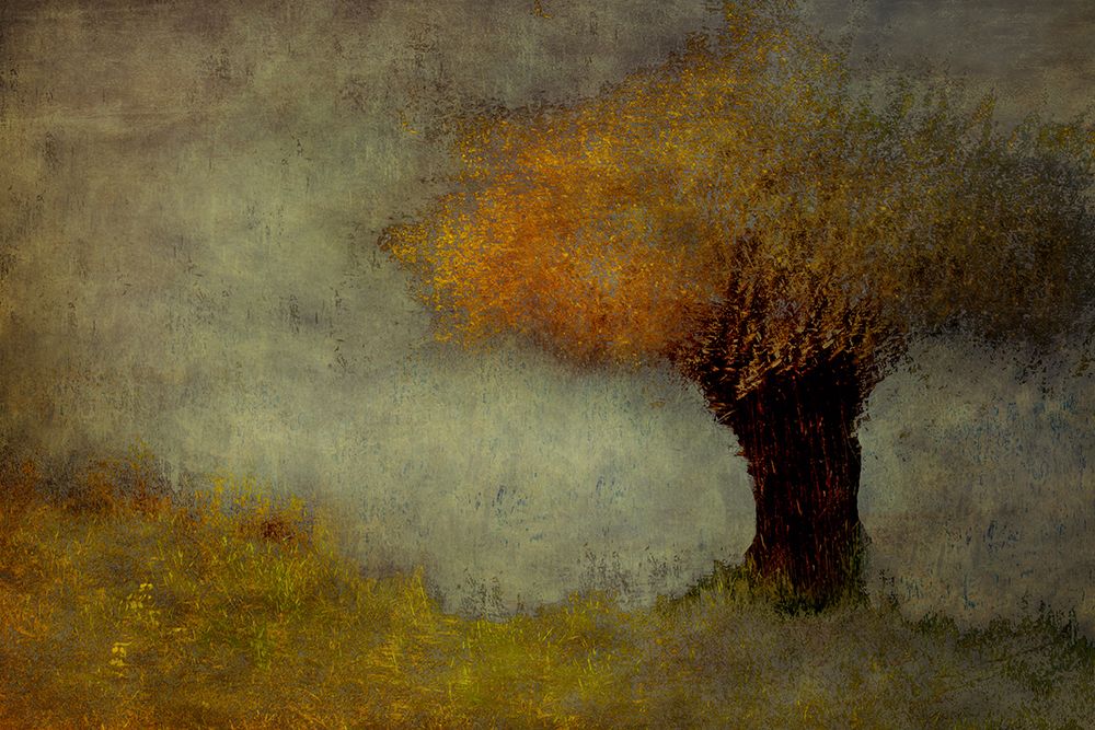 Willow art print by Nel Talen for $57.95 CAD