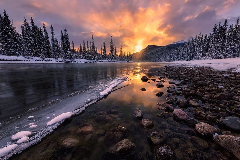 Icy Morning On Fire art print by Yun Wang for $57.95 CAD