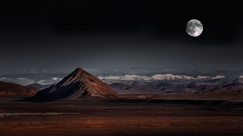 Moon Night art print by Selions for $57.95 CAD