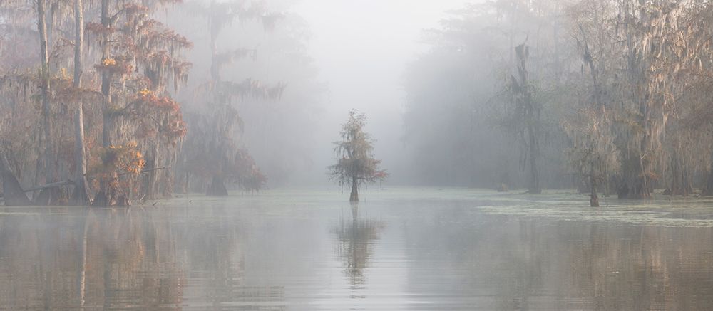 Misty Bayou art print by Roberto Marchegiani for $57.95 CAD
