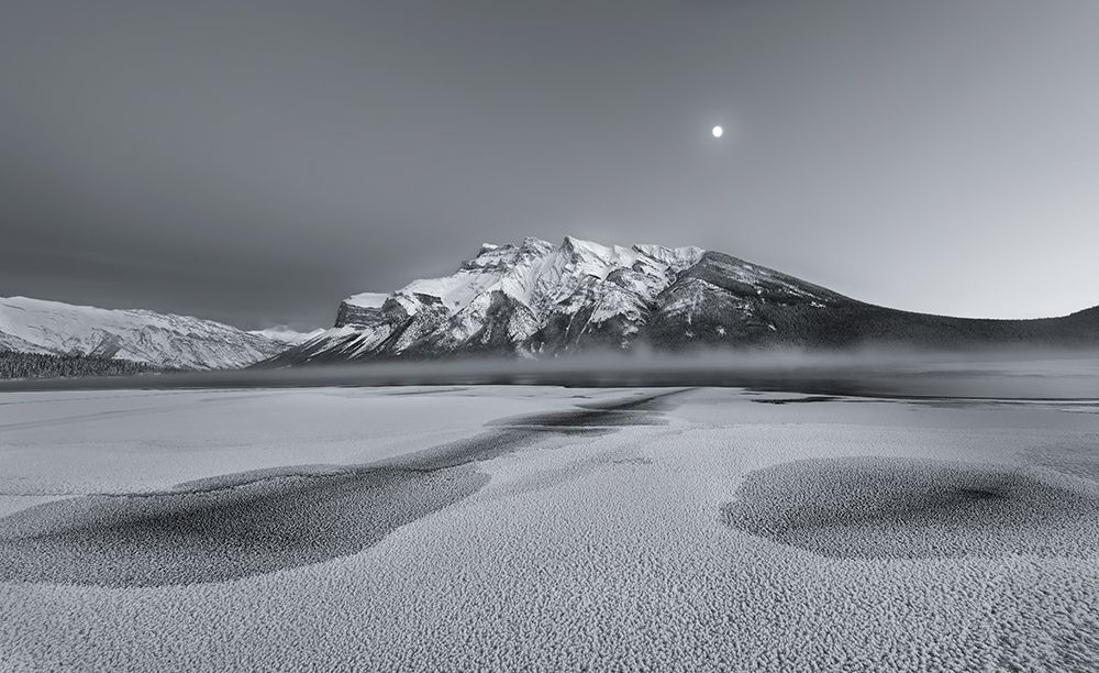 Cold Moon art print by Yun Wang for $57.95 CAD