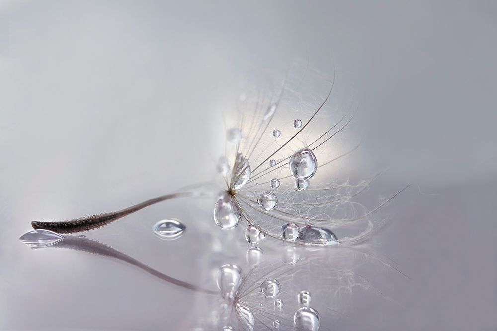 Silver art print by Rina Barbieri for $57.95 CAD
