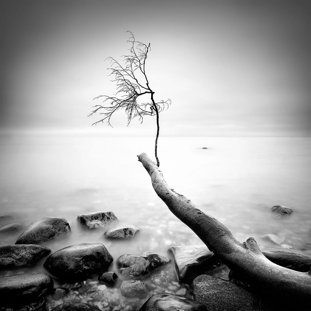 Lost art print by Marek Kijevsky for $57.95 CAD