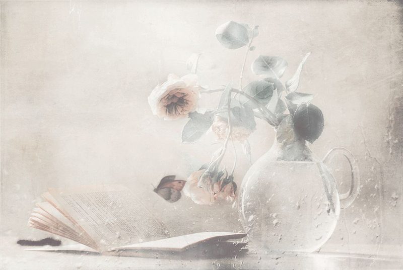 Cycle Of Life art print by Delphine Devos for $57.95 CAD