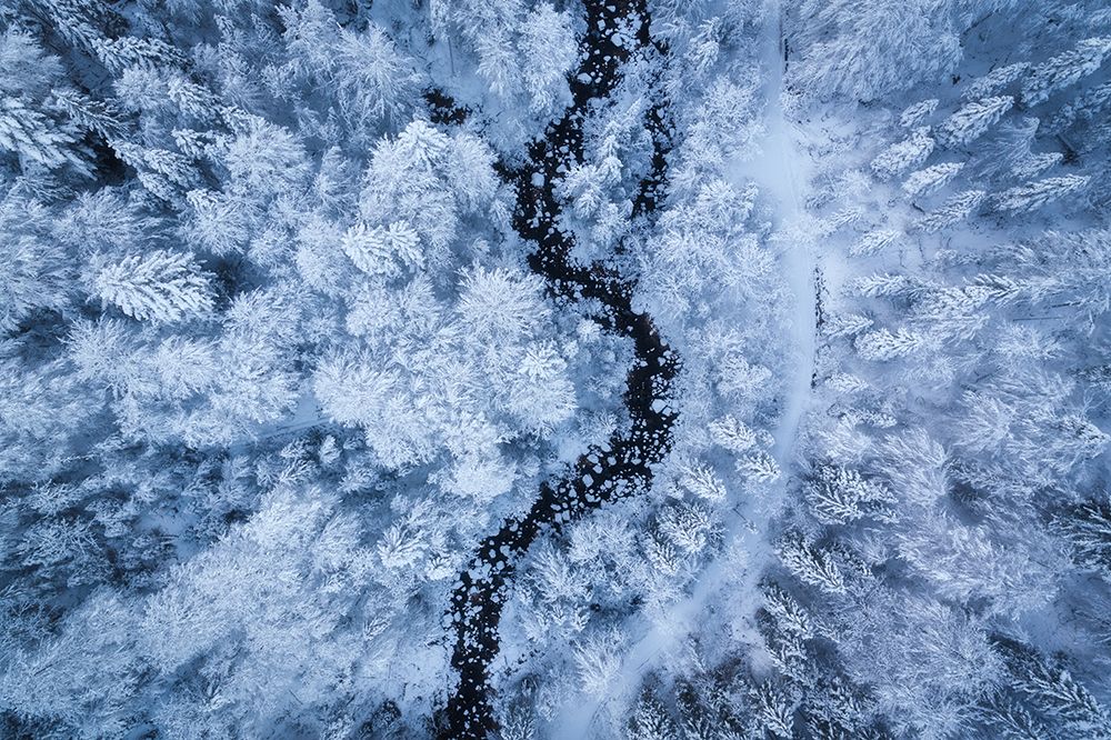 A Freezing Cold Beauty art print by Daniel Gastager for $57.95 CAD