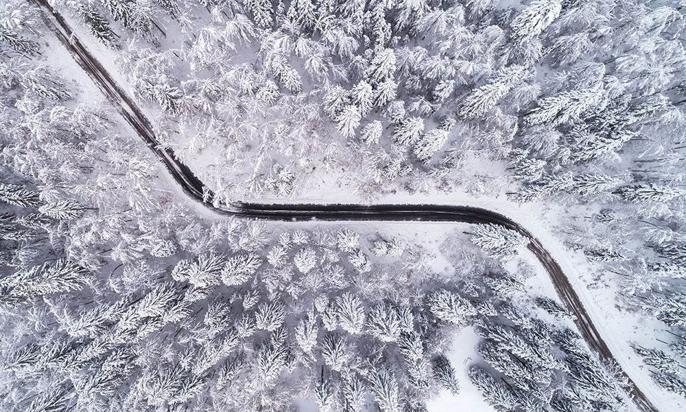 Road through the winter forest art print by Ales Krivec for $57.95 CAD