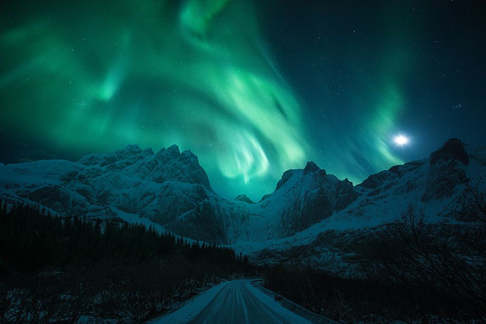 The Green Poison art print by David Martin Castan for $57.95 CAD