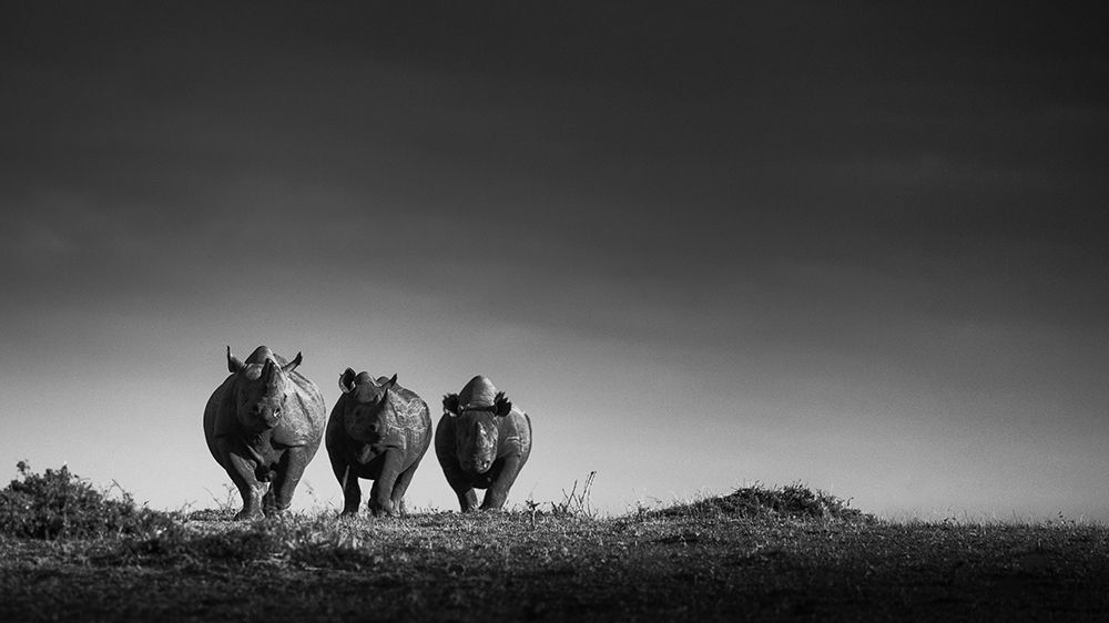 Power art print by Mohammed Alnaser for $57.95 CAD