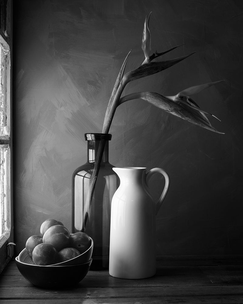 Plums art print by Luiz Laercio for $57.95 CAD