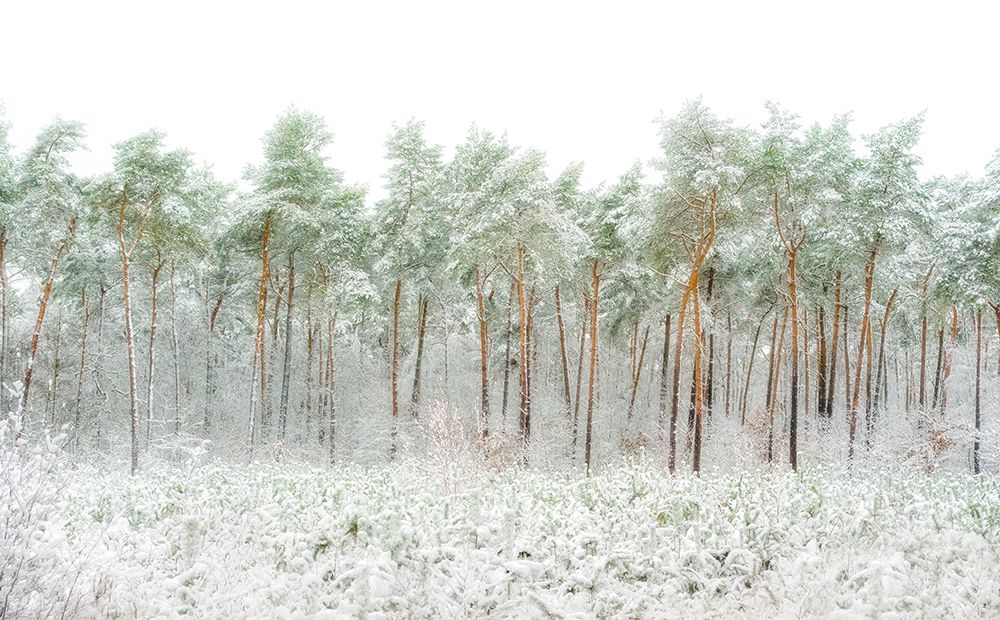 Snow World art print by Greetje Van Son for $57.95 CAD