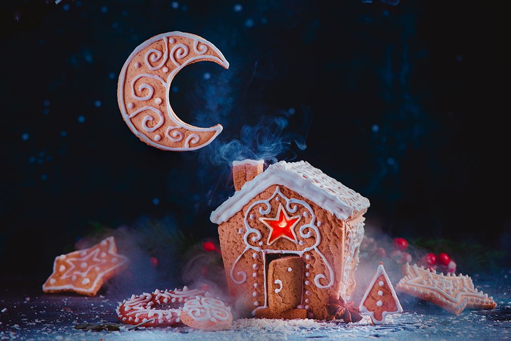 Winter Moon art print by Dina Belenko for $57.95 CAD