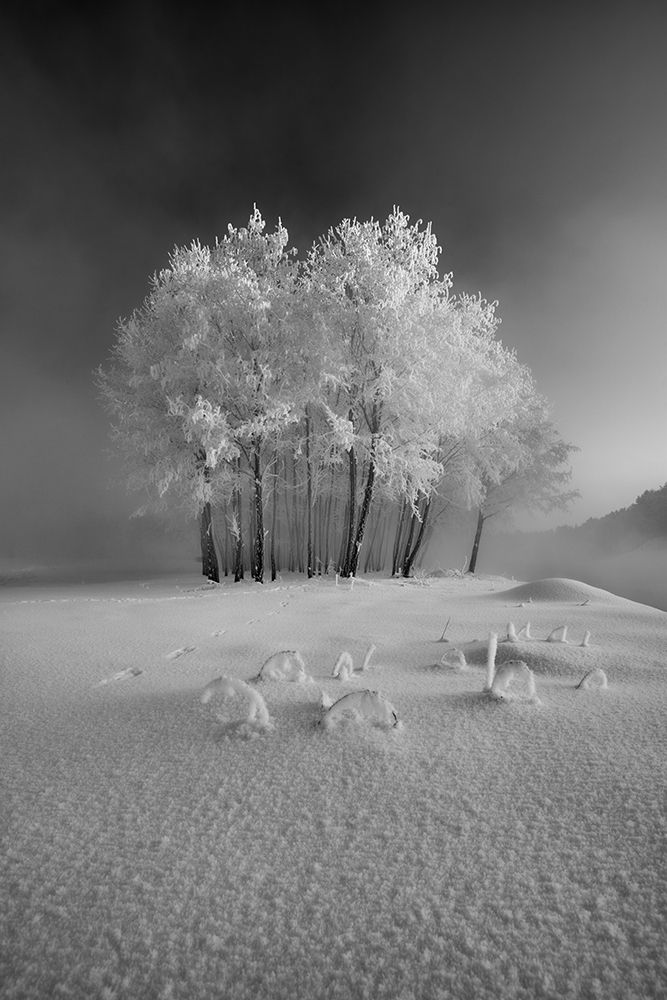 The First Snow art print by Krzysztof Mierzejewski for $57.95 CAD