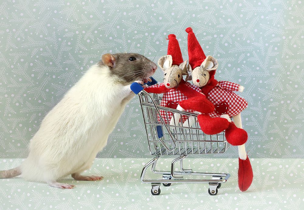 Christmas shopping art print by Ellen van Deelen for $57.95 CAD