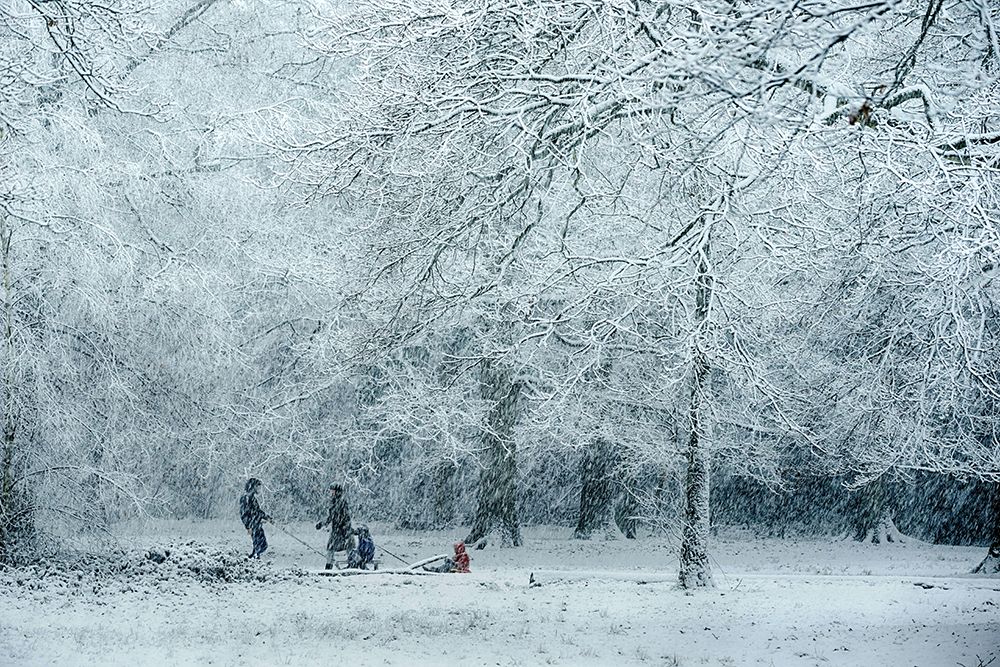 Winter Dream art print by Saskia Dingemans for $57.95 CAD