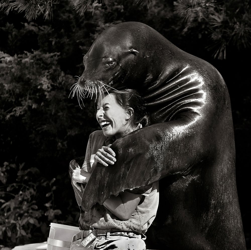 Gimme A Hug art print by Michael Castellano for $57.95 CAD