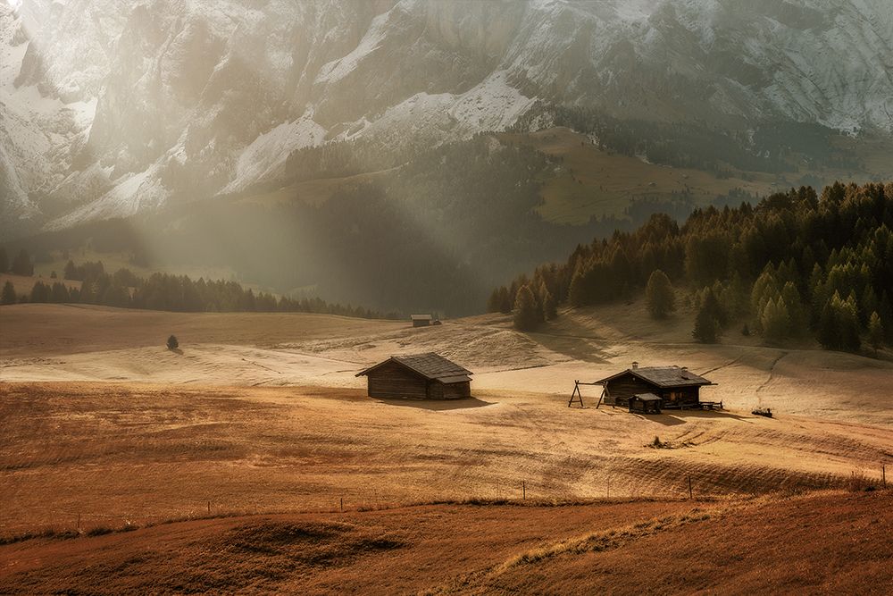In The Light art print by Marian Kuric EP for $57.95 CAD