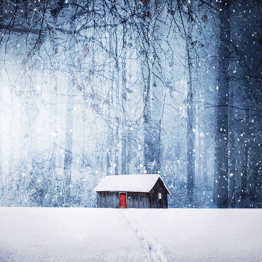 Winter art print by Bess Hamiti for $57.95 CAD