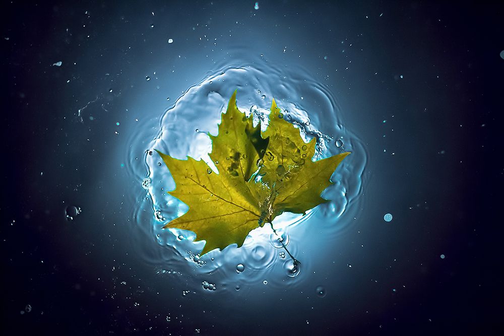 Cosmic Autumn art print by Alexandar Lazarov for $57.95 CAD