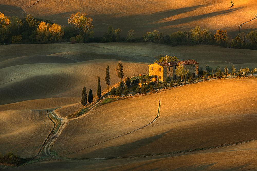 Toscany art print by Clas Gustafson for $57.95 CAD