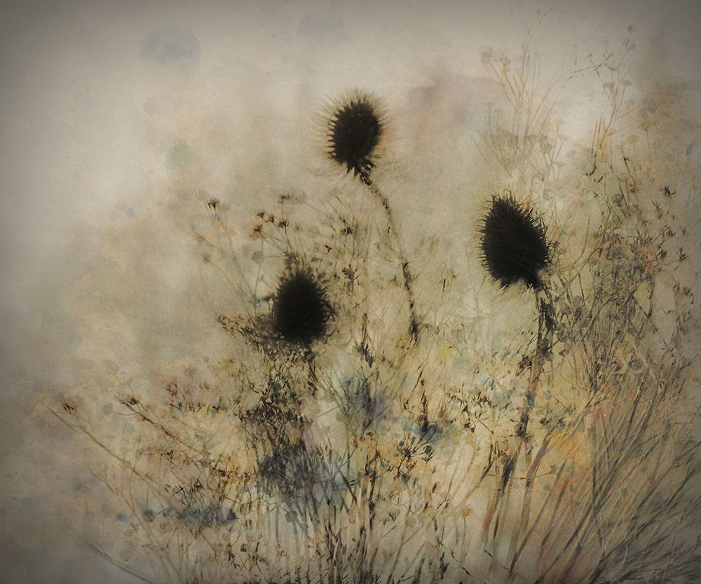 Seed Boxes art print by Nel Talen for $57.95 CAD