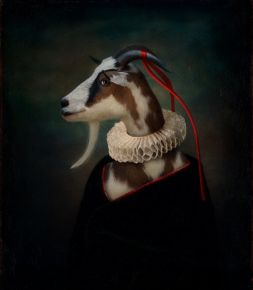 ***** art print by Svetlana Melik-Nubarova for $57.95 CAD