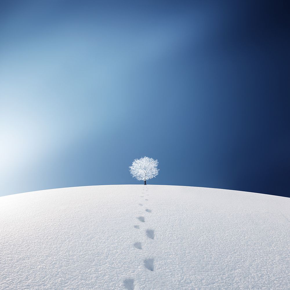 A Tree In The Field art print by Bess Hamiti for $57.95 CAD