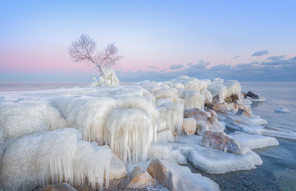 Ice Wonderland art print by Larry Deng for $57.95 CAD