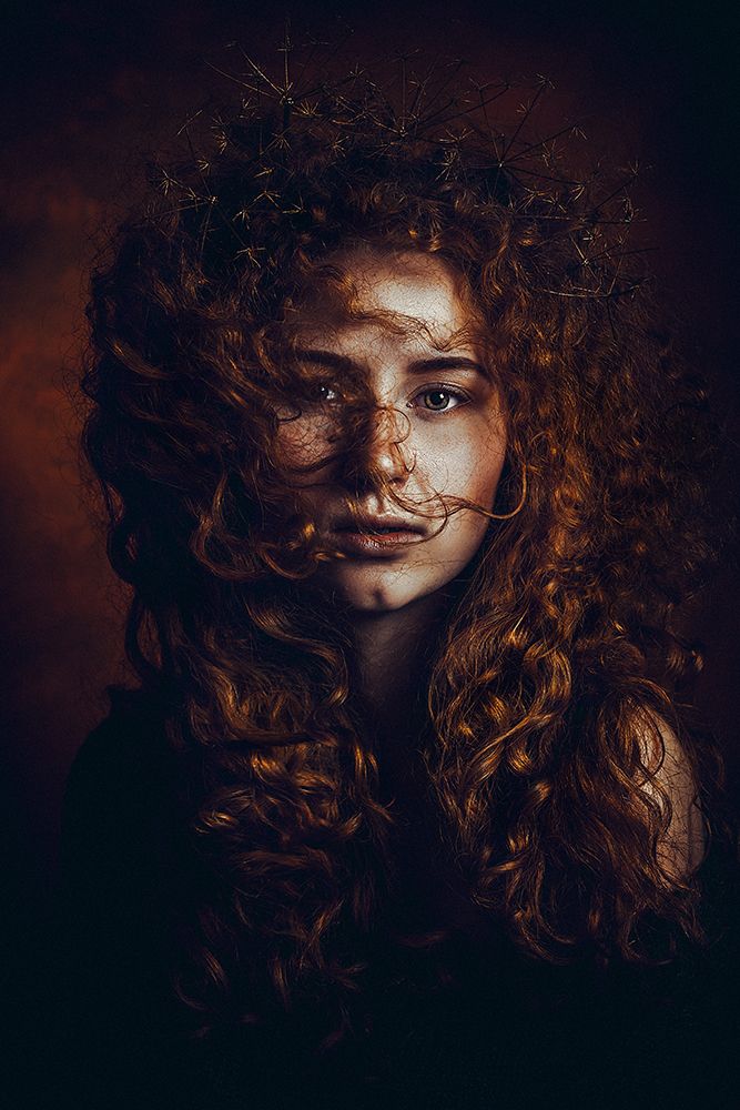 And God said art print by Ruslan Bolgov for $57.95 CAD