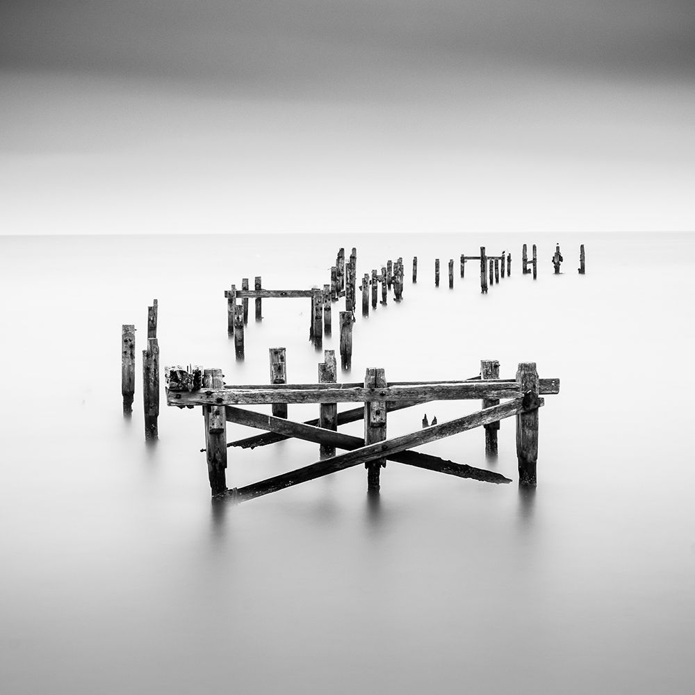 Standing Firmish art print by Robert Bolton for $57.95 CAD