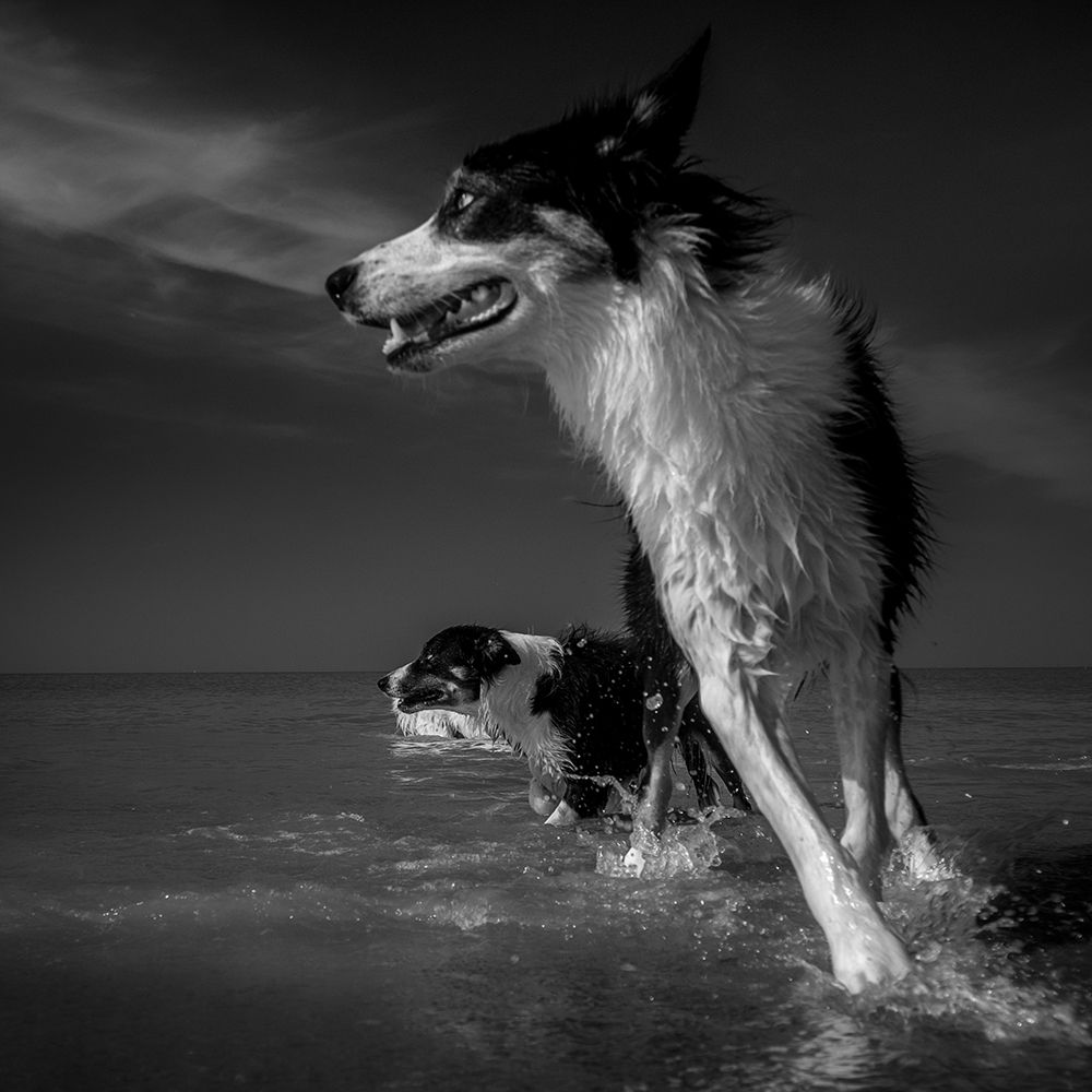 Taking A Turn At The Sea art print by Ruudpeters for $57.95 CAD