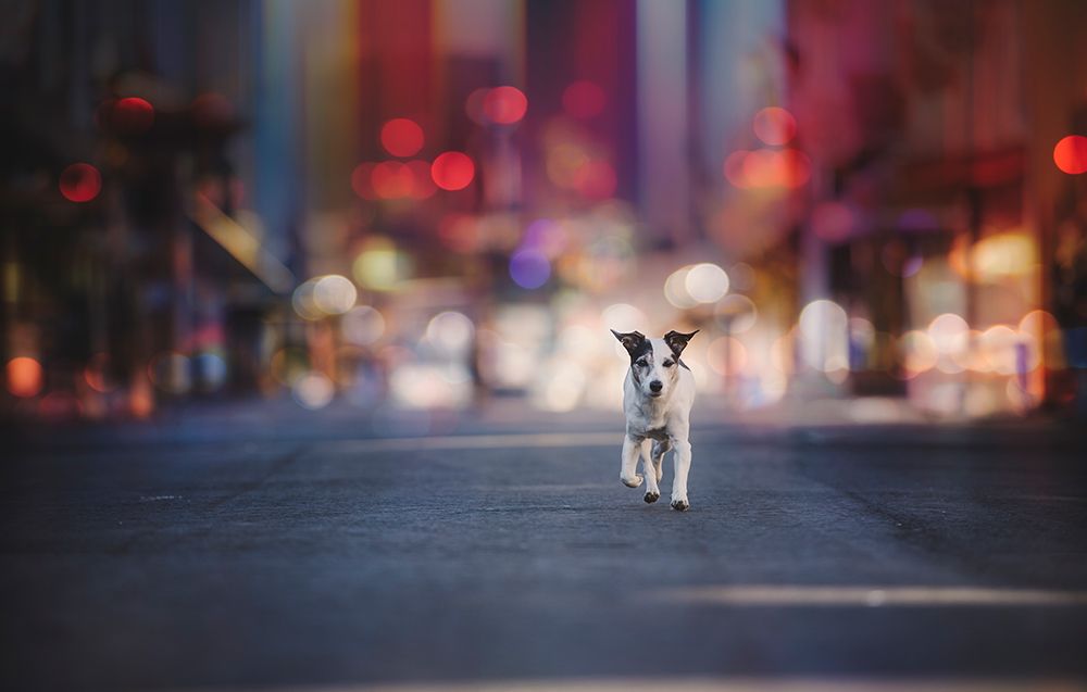 Leaving Las Vegas... art print by Heike Willers for $57.95 CAD