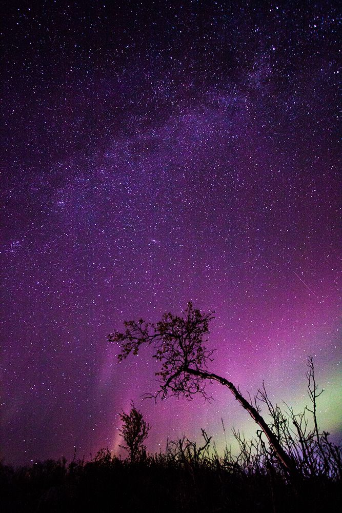 Under The Stars - 1 art print by Sorin Ifrim for $57.95 CAD