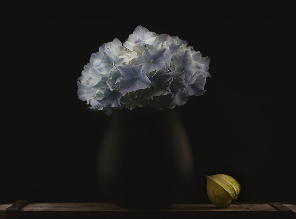 Hydrangea and vase art print by Lotte Gronkjar for $57.95 CAD