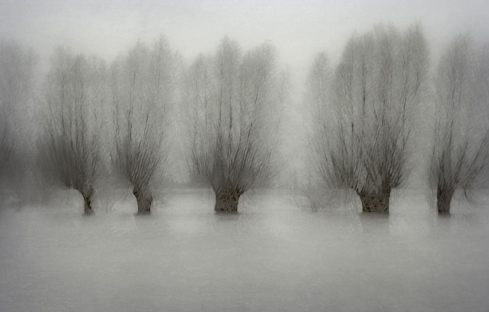 High Water art print by Nel Talen for $57.95 CAD