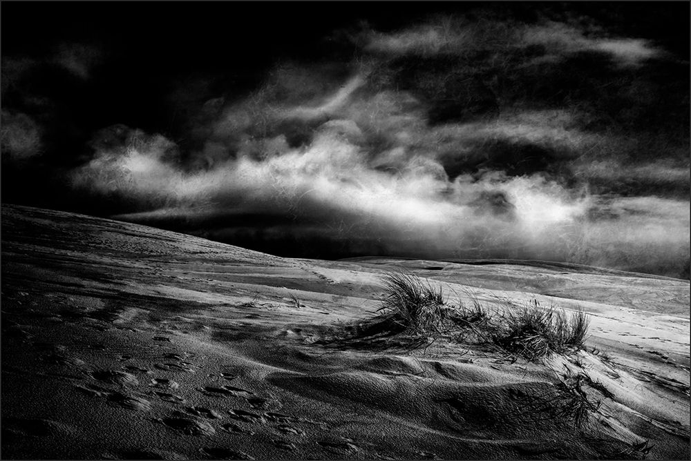marram grass art print by Gilbert Claes for $57.95 CAD