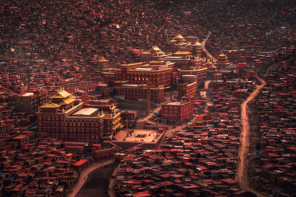 The Buddha Domain art print by Tianqi for $57.95 CAD