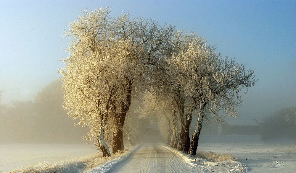 Winter  gateway art print by Leif Westling for $57.95 CAD
