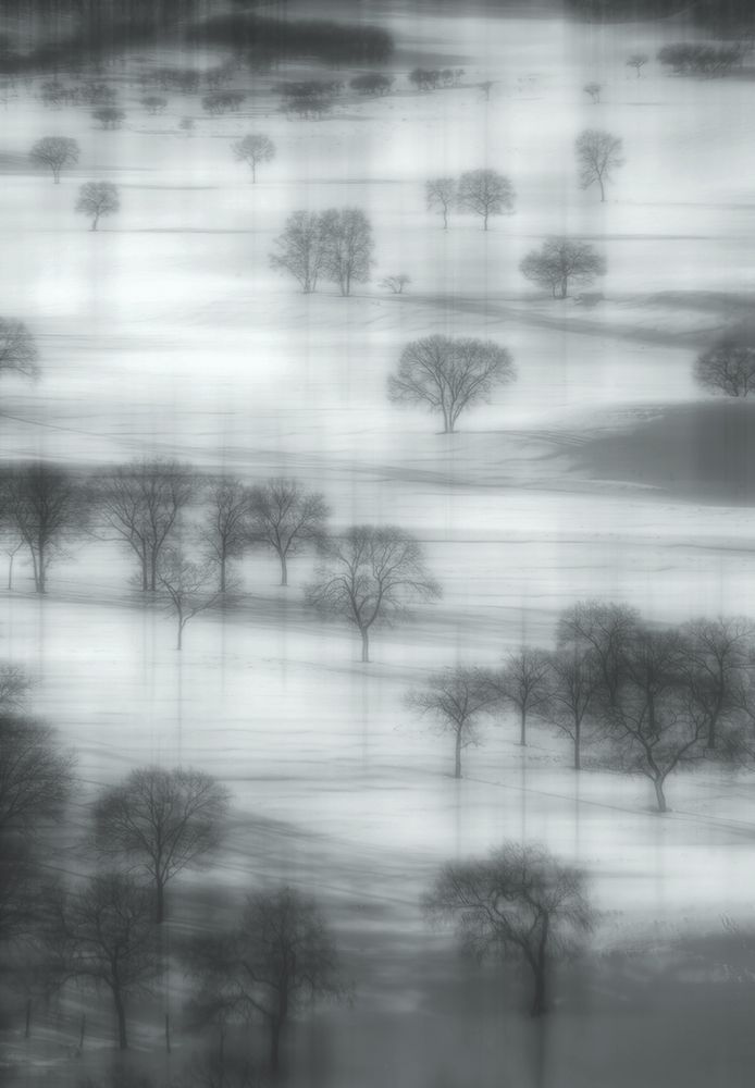 Auspicious snow art print by TIANQI for $57.95 CAD