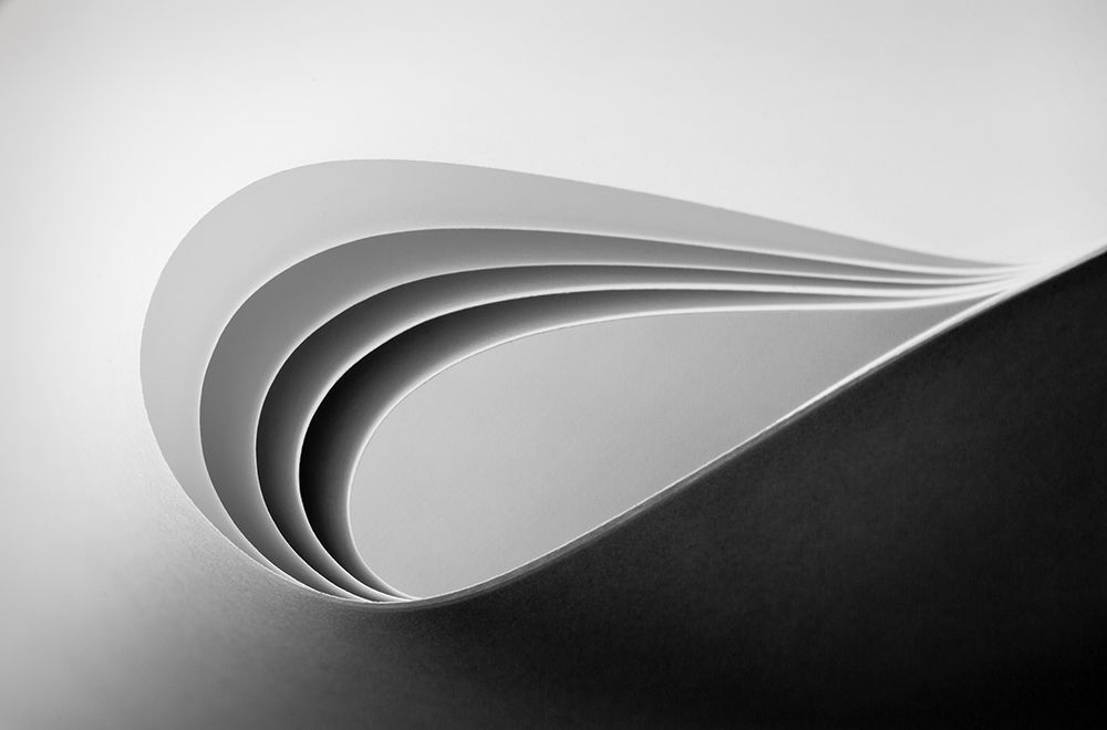 Graceful art print by Jacqueline Hammer for $57.95 CAD