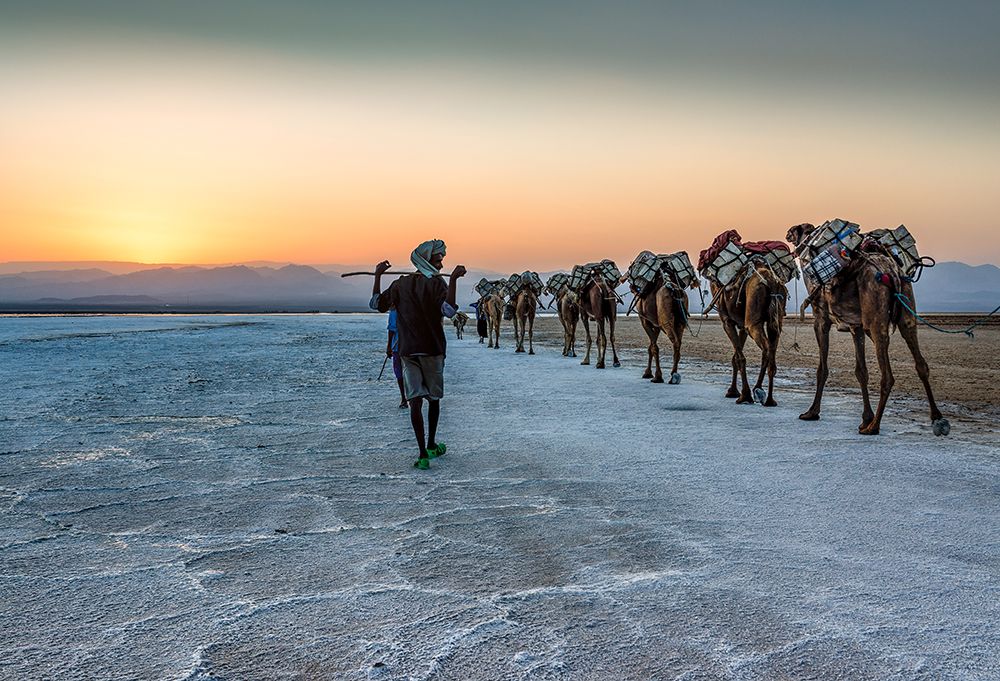 Salt Transportation art print by Jaap Koer for $57.95 CAD